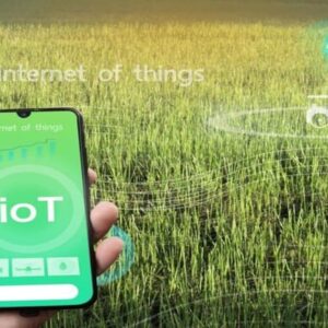 IoT and Agriculture: Cultivating Data for Better Harvests