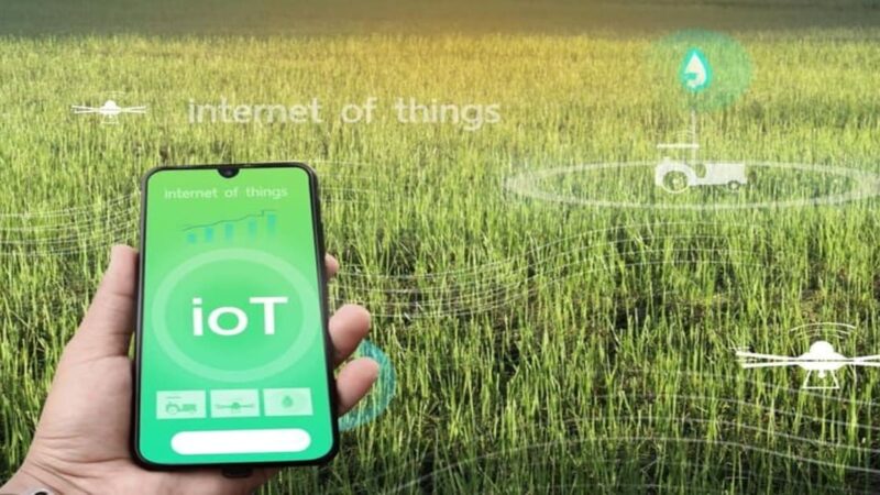 IoT and Agriculture: Cultivating Data for Better Harvests