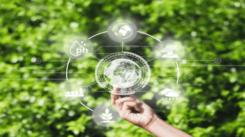 IoT and Sustainability: Reducing Environmental Impact