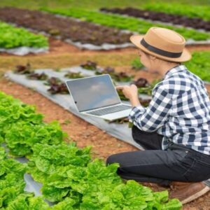 IoT in Agribusiness: Harvesting Data for Better Results