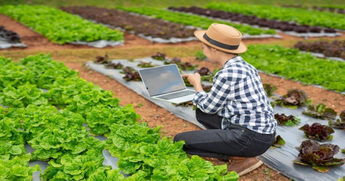 IoT in Agribusiness: Harvesting Data for Better Results